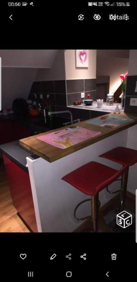 Duplex Dans La Vallee Besançon Exterior foto